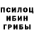 Галлюциногенные грибы прущие грибы Karmazin Sergey