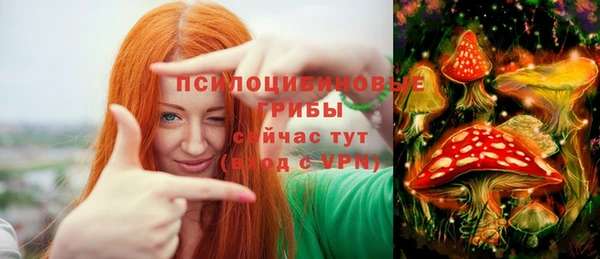 мяу мяу мука Абаза