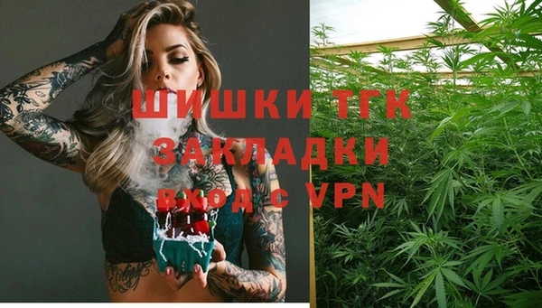 бошки Краснослободск